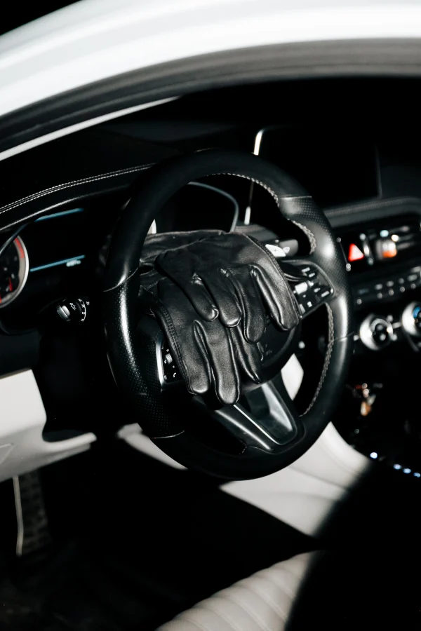 POYGAN GLOVE ON THE WHEEL