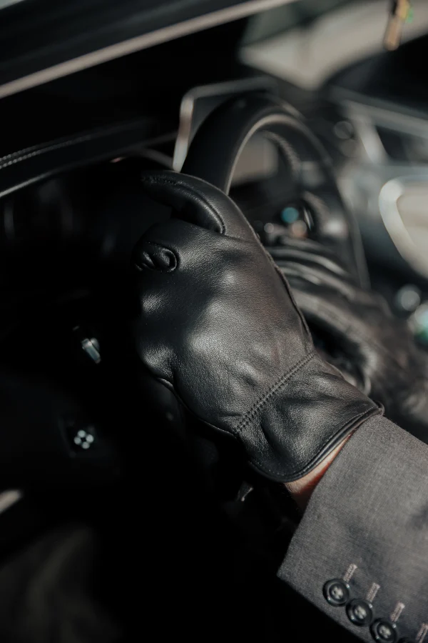 POYGAN GLOVE CAR