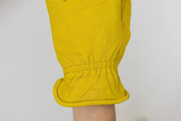 Campers wrist
