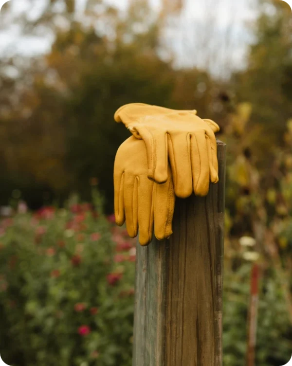 Premium Winter Gloves & Mitts. Saranac